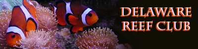 logo3.png