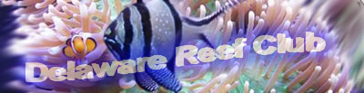 logo1.jpg