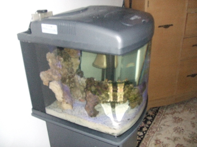 2008_11132007june0023.JPG